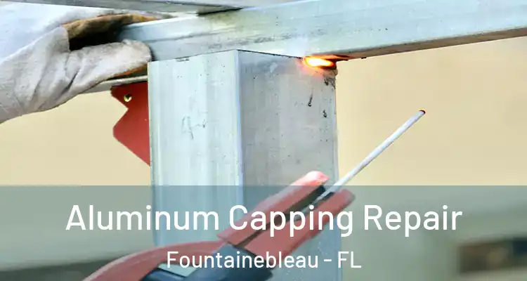  Aluminum Capping Repair Fountainebleau - FL