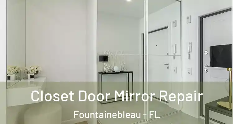 Closet Door Mirror Repair Fountainebleau - FL
