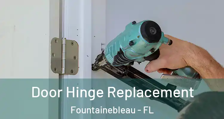  Door Hinge Replacement Fountainebleau - FL