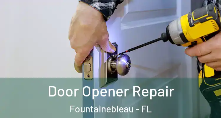  Door Opener Repair Fountainebleau - FL