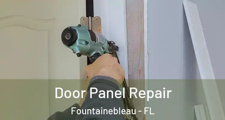  Door Panel Repair Fountainebleau - FL