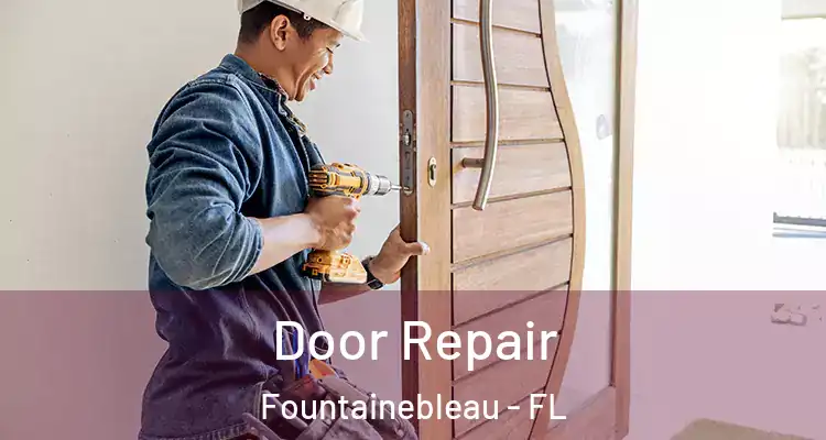  Door Repair Fountainebleau - FL