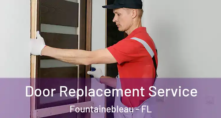  Door Replacement Service Fountainebleau - FL