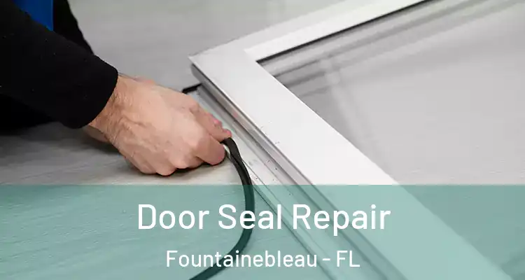  Door Seal Repair Fountainebleau - FL