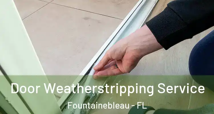  Door Weatherstripping Service Fountainebleau - FL
