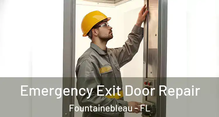 Emergency Exit Door Repair Fountainebleau - FL