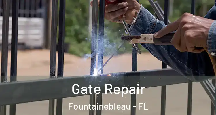  Gate Repair Fountainebleau - FL