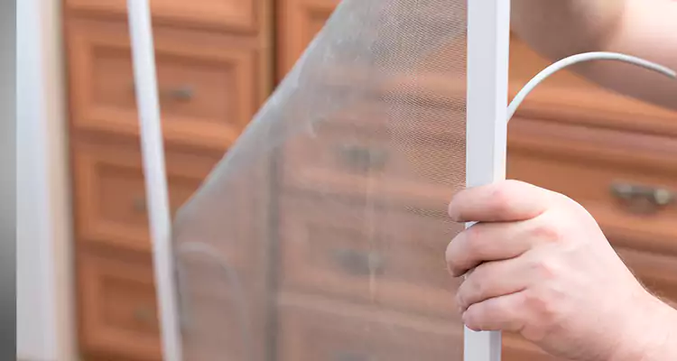 Privacy Mesh Screen Door Installation in Fountainebleau, FL