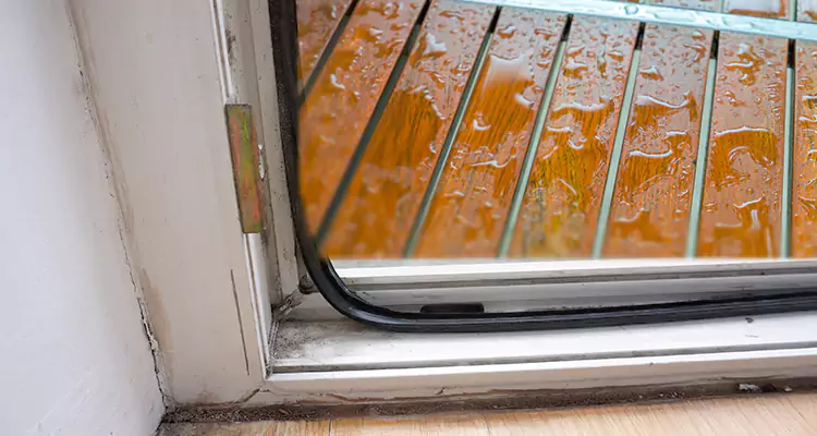 Water Leaking Wooden Patio Doors Repair in Fountainebleau, FL
