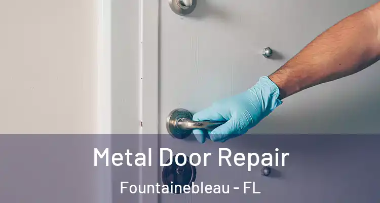  Metal Door Repair Fountainebleau - FL