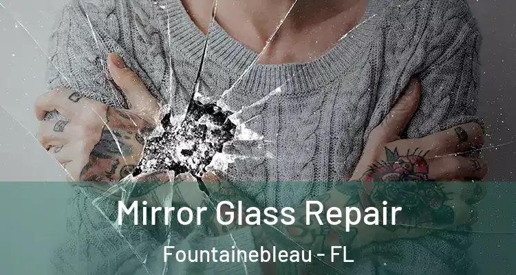  Mirror Glass Repair Fountainebleau - FL