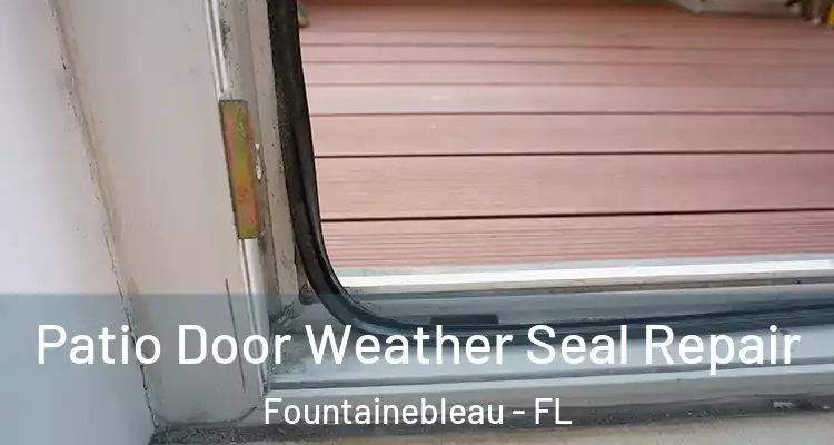  Patio Door Weather Seal Repair Fountainebleau - FL