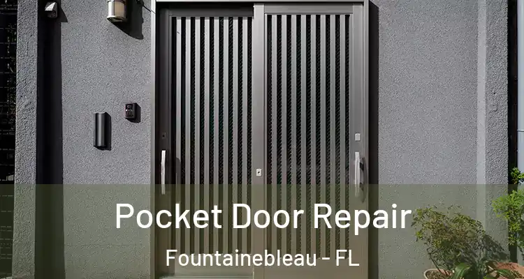  Pocket Door Repair Fountainebleau - FL