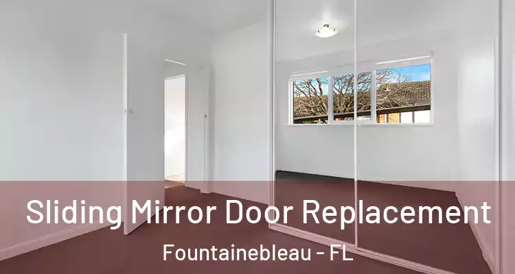  Sliding Mirror Door Replacement Fountainebleau - FL