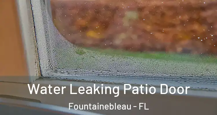  Water Leaking Patio Door Fountainebleau - FL
